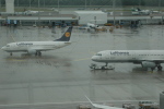 .resize_CDSC_0040.JPG