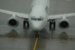 .resize_CDSC_0041.JPG