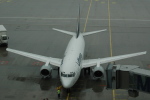 .resize_CDSC_0044.JPG