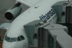 .resize_CDSC_13.JPG