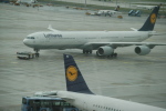 .resize_CDSC_46.JPG