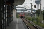 .resize_KDSC_0092.JPG