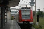 .resize_KDSC_0094.JPG