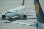 .resize_PDSC_0004.JPG