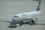 .resize_PDSC_0012.JPG