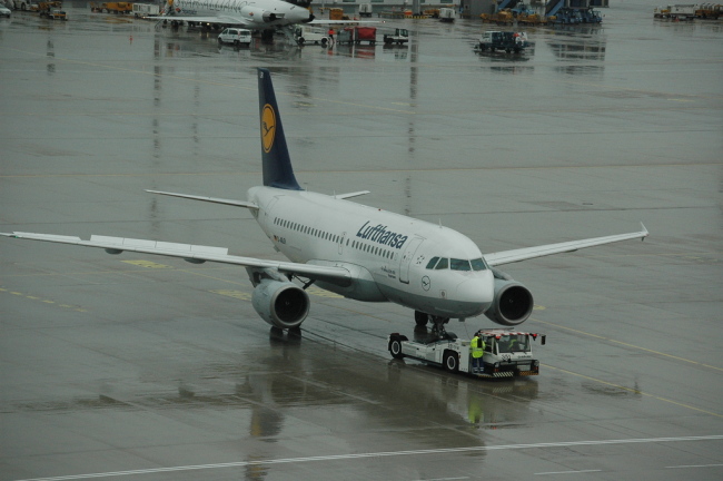 .resize_CDSC_0008.JPG