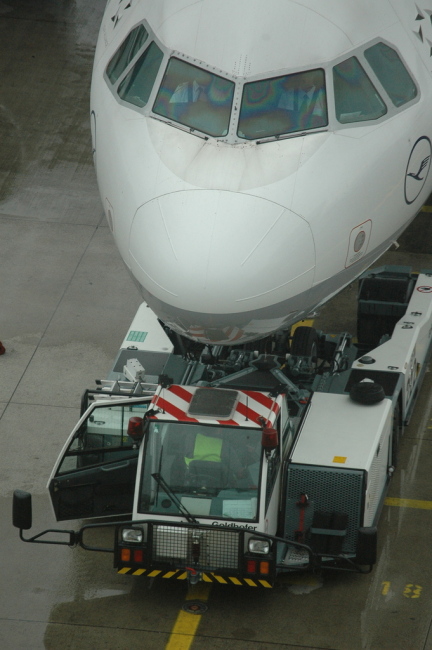 .resize_CDSC_0032.JPG