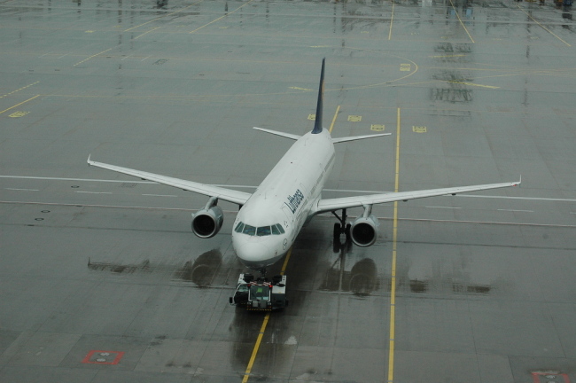 .resize_CDSC_0034.JPG