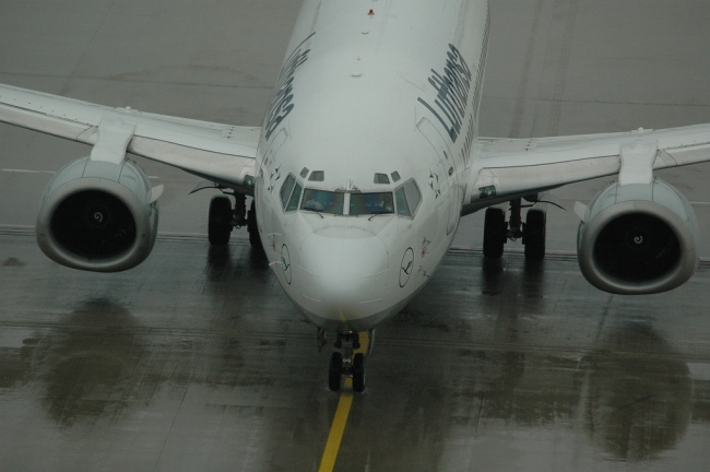 .resize_CDSC_0042.JPG