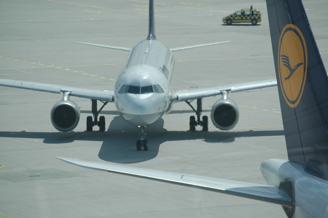 .resize_PDSC_0003.JPG