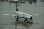 .resize_CDSC_0008.JPG