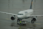 .resize_CDSC_0009.JPG