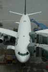 .resize_CDSC_0016.JPG