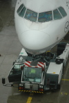 .resize_CDSC_0032.JPG