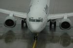 .resize_CDSC_0042.JPG