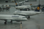 .resize_CDSC_0046.JPG