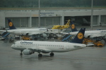 .resize_CDSC_4.JPG