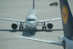 .resize_PDSC_0003.JPG