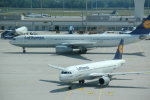 .resize_PDSC_0016.JPG