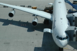 .resize_PDSC_0025.JPG