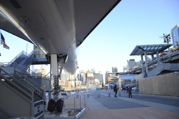 .resize_DSC_5921.jpg