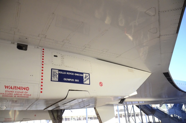 .resize_DSC_5923.jpg