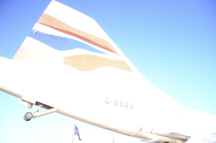 .resize_DSC_5924.jpg