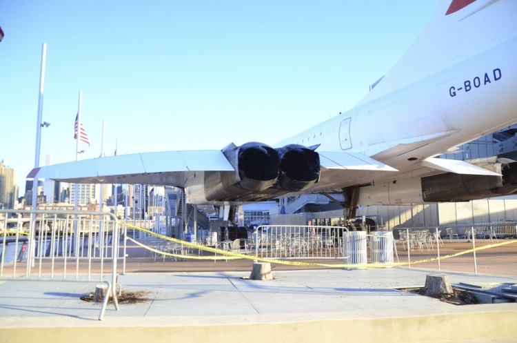 .resize_DSC_5928.jpg
