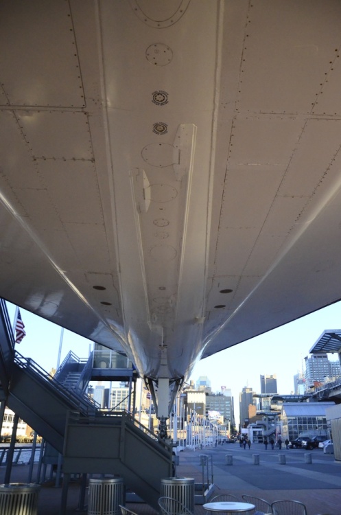 .resize_DSC_5936.jpg