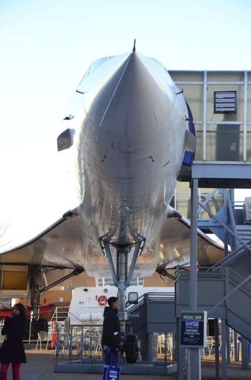 .resize_DSC_5948.jpg