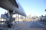 .resize_DSC_5938.jpg