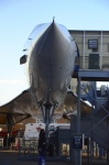 .resize_DSC_5949.jpg