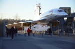 .resize_DSC_5951.jpg