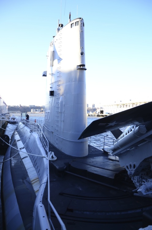 .resize_DSC_5814.jpg