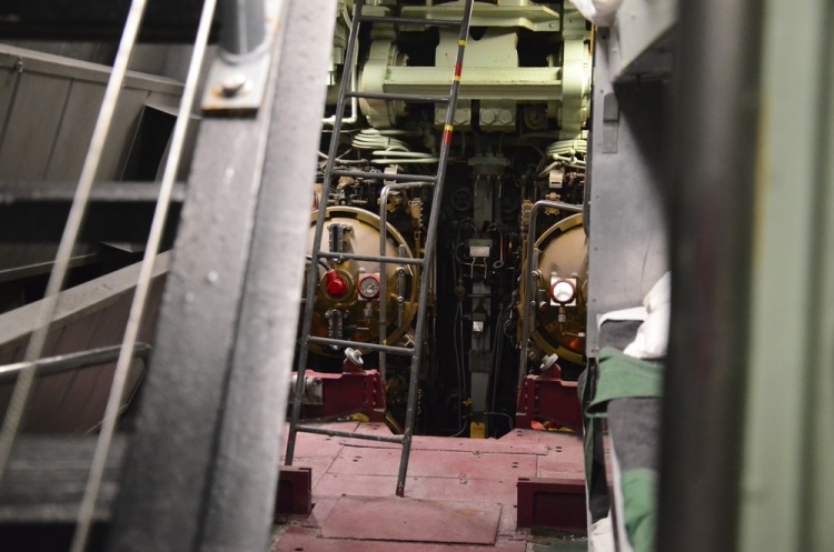 .resize_DSC_5822.jpg