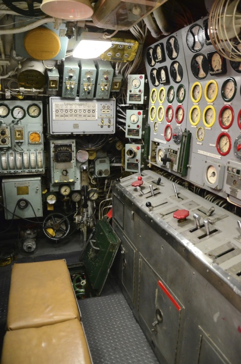 .resize_DSC_5883.jpg
