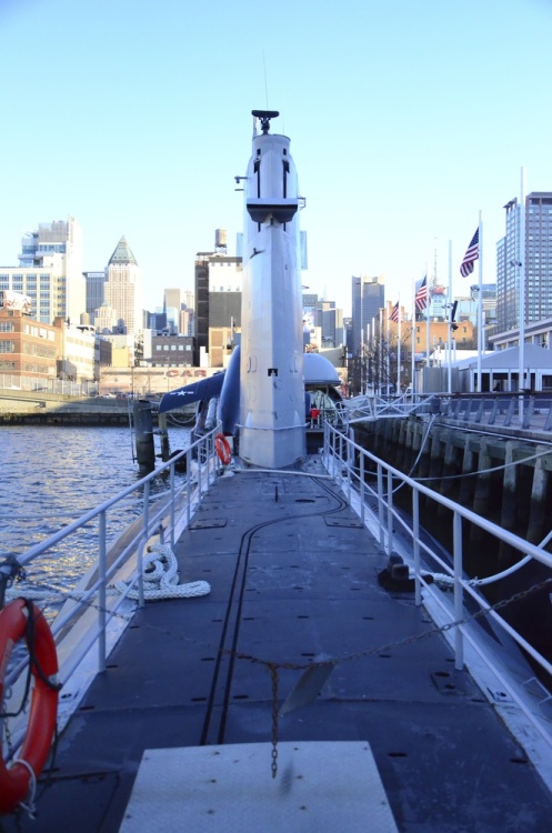 .resize_DSC_5896.jpg