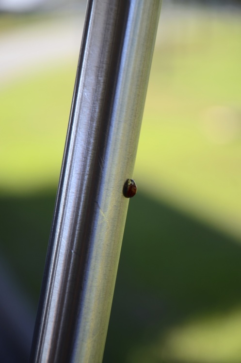 .resize_DSC_0829.JPG