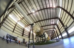 .resize_DSC_0933.JPG