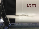 .resize_IMG_4928.JPG