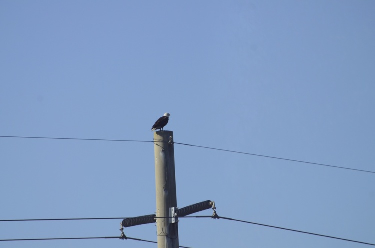 .resize_DSC_9059.JPG