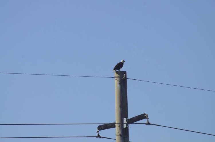 .resize_DSC_9060.JPG