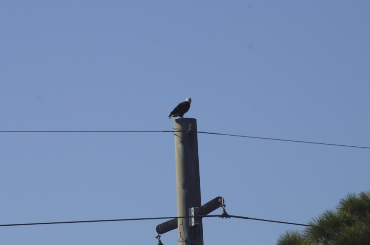 .resize_DSC_9061.JPG
