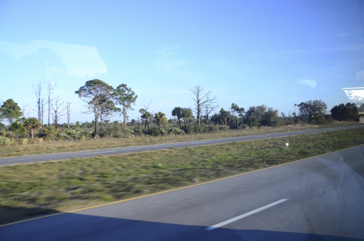 .resize_DSC_9376.JPG