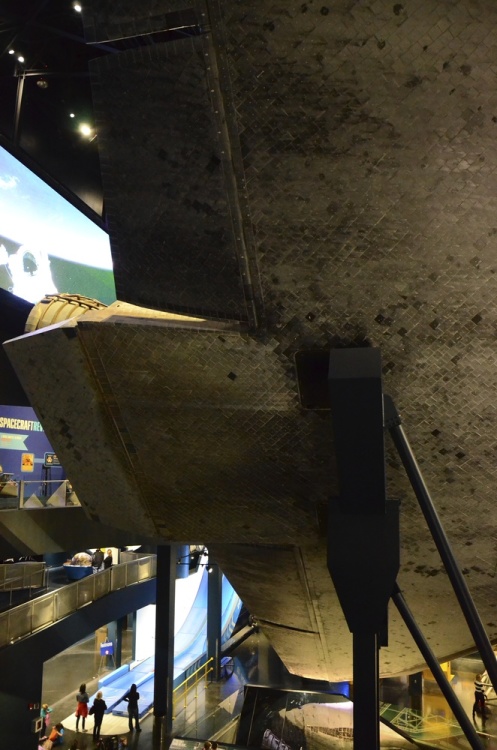 .resize_DSC_7143.JPG