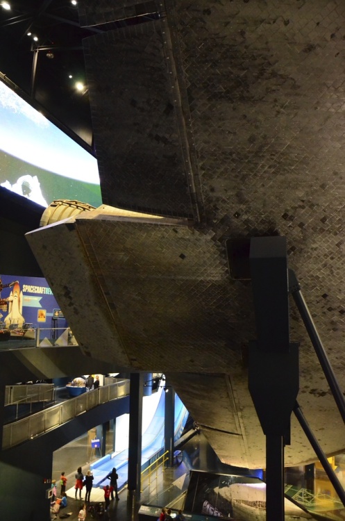 .resize_DSC_7145.JPG