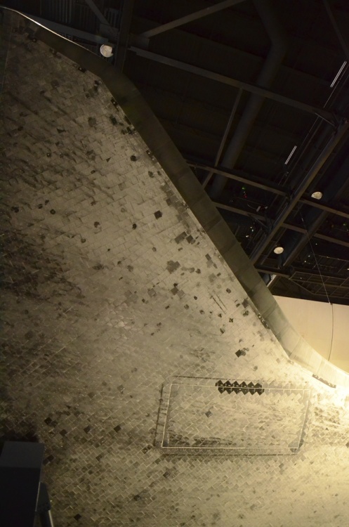 .resize_DSC_7148.JPG