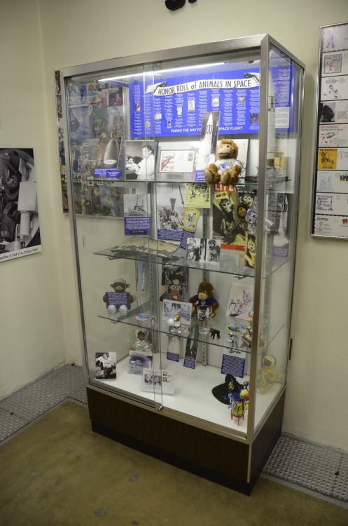 .resize_DSC_8667.JPG