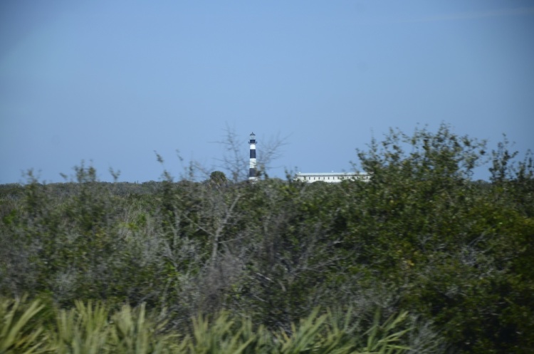 .resize_DSC_8895.JPG