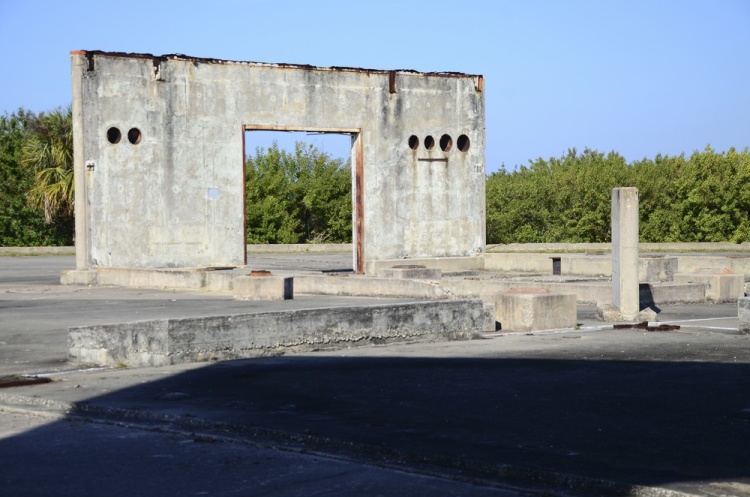 .resize_DSC_9001.JPG